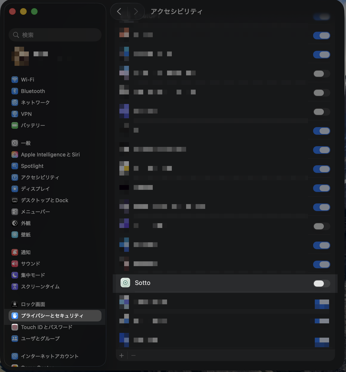 システム設定のアクセシビリティ画面